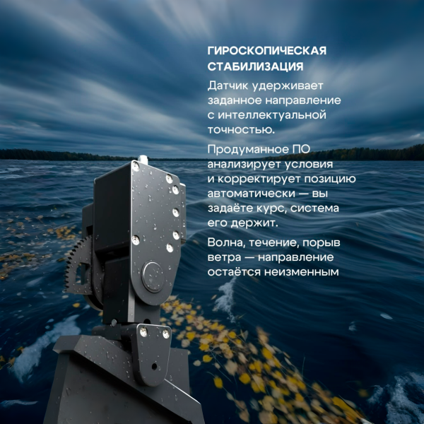 Электронная перспектива Pelorus Perspective v 2.0